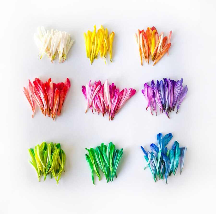 assorted flowers on white surface