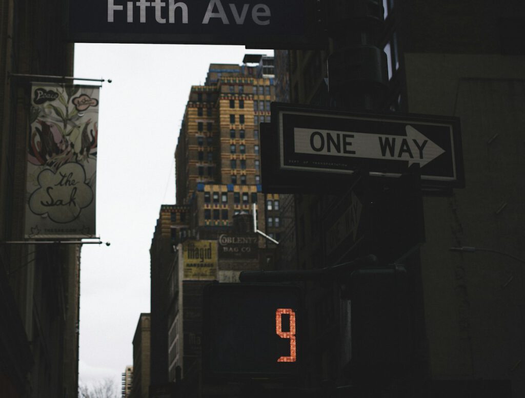 low-angle photography of road with Fifth Avenue board signage